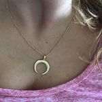 Gold Horn Drop Choker Necklace Photo 0