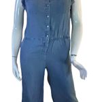 Alison Andrews Sleeveless Denim Jumpsuit Photo 1