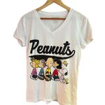 Peanuts Characters V Photo 1