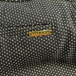 Anne Klein Size 6 Blue & White Polka Dot Shorts Elastic Waist Photo 2