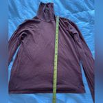Everlane  rust turtle neck size small Photo 1