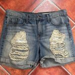 Pistola  x Revolve Distressed Shorts Photo 0