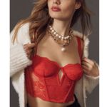 Anthropologie NWT  Lace Velvet Corset Top Photo 0