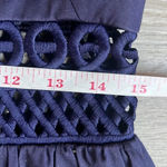 Ted Baker Dayzey Lace Paneled Dress Photo 13