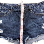 Urban Outfitters Outfitter Shorts Photo 8