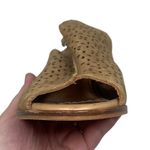 Anthropologie Anthro Miss Albright Peep Toe Eyelet Sling Back Ankle Boots Brown Women Size 8.5 Photo 8