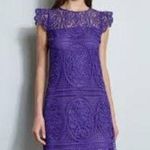 Elie Tahari Plum Lace Fit & Flare Sleeveless Dress Size 16 Elegant Design Photo 1