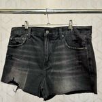 Pistola  Black Distressed Jean Shorts Photo 1