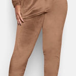 SKIMS  Velour Jogger Pants Luxe Loungewear Size 4X Photo 0