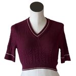 Free People NWOT INTIMATELY BY  Catch Your Eye Swit Knit Sweater Top Photo 2