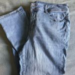 Wall Flower  Jeans Curvy Photo 0