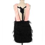 Slate + Willow Sz. 6 Cocktail Dress | Blush Top | Feathered Skirt | Unique Photo 1