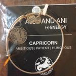 ALEX AND ANI Capricorn Bracelet Photo 0