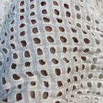 Gap Vintage  3" City Shorts Size 6 Eyelet White Lined Pockets Coastal Summer‎ Photo 4