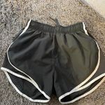 Nike Gray Shorts Photo 0