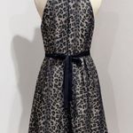 MUSE Women's Leopard Print Fit & Flare Pleated Formal Dress Size 10 Photo 1