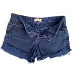 Free People Navy Blue Cut-Off Shorts Photo 2
