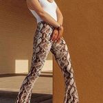 American Threads Snakeskin Flares Photo 0