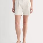 Everlane Pleated Chino Short Photo 4