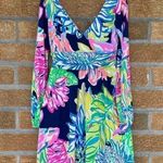 Lilly Pulitzer  Fleur Dress XS Photo 3
