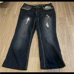 Jeans Y2K country style Blue Size 16 Photo 0