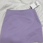 ZARA  Skirt Photo 0