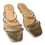 Seychelles   Revolve 9 Metallic Gold Rock Candy Sandal Flat Strappy Minimalist Photo 1