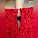 Nanette Lepore Formal Scarlet Dark Pink Lace Floral Ruffle Blouse Plus Size 4X Photo 3