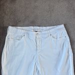 Gloria Vanderbilt  White All Around Slimming Effect Comfort Curvy Capri SIZE 22W Photo 1