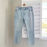 American Eagle  AE Mom Jeans in Light Wash Size 16 Photo 2