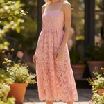 NWT NSR X Nordstrom Floral Lace Midi Dress Medium, PINK Photo 1