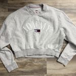 Tommy Hilfiger Tommy Jeans Gray Cropped Sweatshirt Women’s Small Embroidered Crewneck Pullover Photo 0
