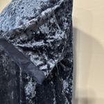 Wishlist Women’s Blue Velvet Short Sleeve Tunic Top Sheer Hem Cuffs Sz M Holiday Photo 1