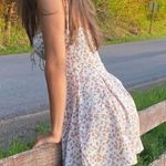 Princess Polly Dress Photo 3