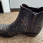 Lucky Brand LK-BASELH2O Sesame Persian Rubber Rain Boots 8M Photo 7