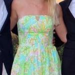 Lilly Pulitzer dress Photo 0