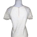 Solitaire Ivory Lace Overlay Sheer Short Sleeves Keyhole Dressy Casual Top M Photo 4