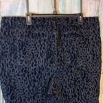 Rachel Roy Rachel  Black Flocked Animal Print Jeggings Size 20W Photo 3
