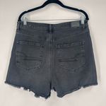 American Eagle  Black 90s Boyfriend Distressed CutOff Hi Rise Denim‎ Shorts Sz 12 Photo 2