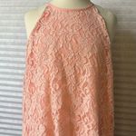 Sweet Wanderer  Size L Lace Color light Pink Photo 0