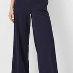 Ann Taylor NWOT  The Wide Leg Pant In Navy Size‎ 12 Petite Workwear Office Photo 0