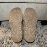 UGG  Classic Mini Platform Boots Chestnut Photo 11