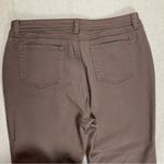 Dress Barn  | Petite Brown Straight Leg Stretch Jeans | P14 Photo 4