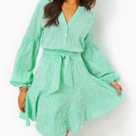 Lilly Pulitzer Carla Striped Dress in Spearmint Harbor Stripe Photo 0