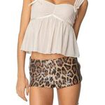 Edikted  Top Photo 0