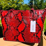 Brahmin  Asher Tote & Jane Wallet Set Lipstick Melbourne Croc Leather NWT Photo 5