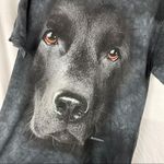 The Mountain  Black Lab Tie Dye Graphic T-Shirt Photo 4