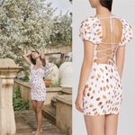 Significant Other Dress Lola Dot Ruched Open Tie Back Mini Caramel Petal 4 NWT White Photo 2