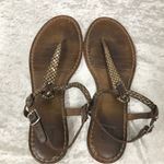 Frye Carson T-Strap Sandal Dark Brown Ladies 9M Photo 1