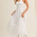 NWT Thirty Thirty LA Ivory Butterfly Dress Photo 3